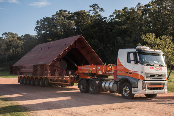 Transporte Profesional de Cargas