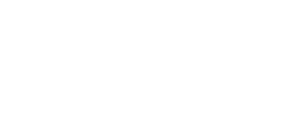 logo salomon gruas blanco 03